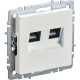 Розетка с/у компьютерная 2xRJ45, IP20, IEK BRITE [BR-K20-1-K36] жемчуг