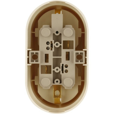 Розетка о/у 2х2P+E 16А, бакелит, TDM Ретро [SQ1806-0532] сл.кость