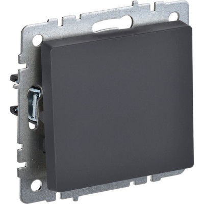 Переключатель с/у 1-кл 10А, IP20, IEK BRITE [BR-V12-0-10-K53] графит