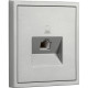 Розетка с/у компьютерная 1xRJ45, IP20, Smartbuy Капелла [SBE-09s-S1-RJ] серебро soft touch