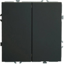 Выключатель с/у 2-кл 10А, IP20, STEKKER Эмили [RSW10-5104-05] черный уголь soft touch