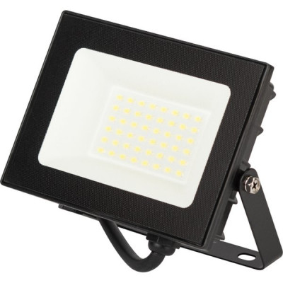 Прожектор LED  30W, 6500K, IP65, SMD, 3000Лм, призма, Эра PRO [LPR-062-0-65K-030] черный 