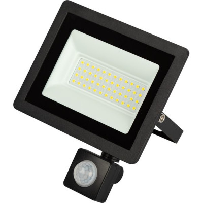 Прожектор LED  50W, 6500K, IP40, SMD, 4000Лм, с рег. ИК д/д,  ЭРА [LPR-042-2-65K-050]