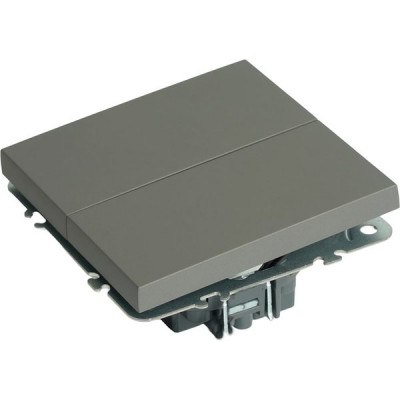 Переключатель с/у 2-кл 10А, STEKKER Эмили [RSW10-5107-10] платиново-серый soft touch