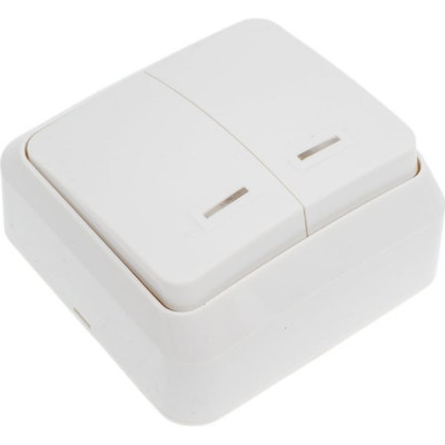 Выключатель о/у 2-кл 10А, с подсветкой, SmartBuy Юпитер [SBE-03w-10-SW2-1] белый