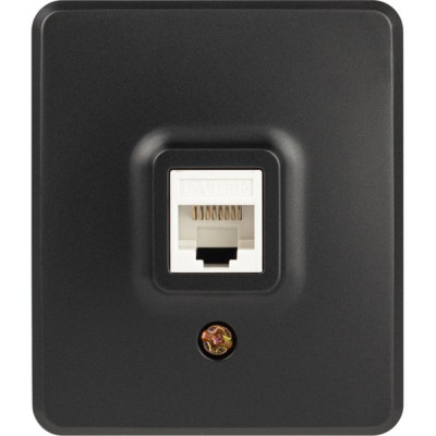 Розетка о/у компьютерная RJ45, ЭРА Эксперт [11-3203-05][16] антрацит