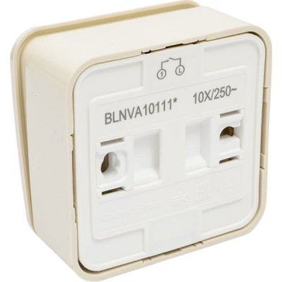 Выключатель о/у 1-кл 10А, с подсв., изол.пл., Schneider Electric Blanca [BLNVA101117] бежевый