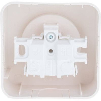 Розетка о/у 2P 16А, Schneider Electric Blanca [BLNRA000102] молочный