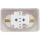 Розетка о/у 2x2P+E 16А, Schneider Electric Blanca [BLNRA010202] молочный