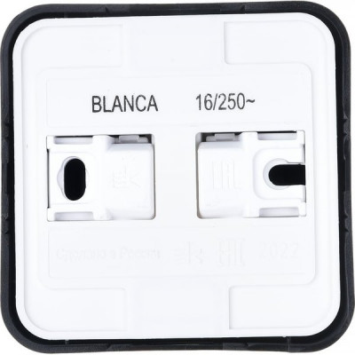 Розетка о/у 2P+E 16А, изол.пл., Schneider Electric Blanca [BLNRA010116] антрацит 