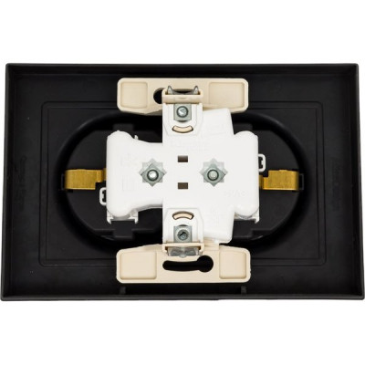 Розетка с/у 2x2P+Е 16A, IP20, со штор., в сборе, Schneider Electric ATLASDESIGN [ATN001026] карбон