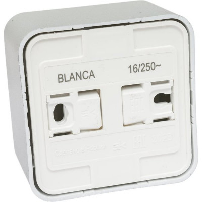 Розетка о/у 2P+E 16А, изол.пл., Schneider Electric Blanca [BLNRA010113] алюминий 