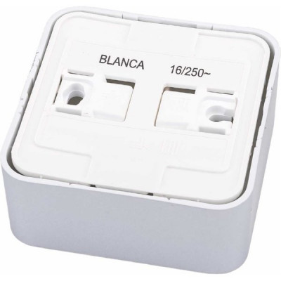Розетка о/у 2P 16А, изол.пл., Schneider Electric Blanca [BLNRA000113] алюминий