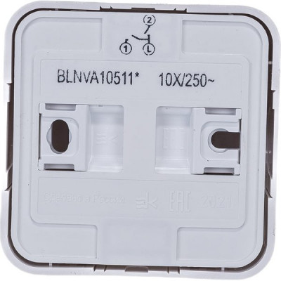Выключатель о/у 2-кл 10А, с подсв., изол.пл., Schneider Electric Blanca [BLNVA105111] белый