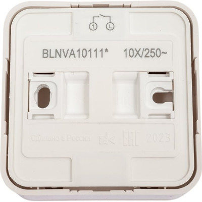 Выключатель о/у 1-кл 10А, с подсв., изол.пл., Schneider Electric Blanca [BLNVA101111] белый