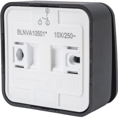 Выключатель о/у 2-кл 10А, изол.пл., Schneider Electric Blanca [BLNVA105016] антрацит