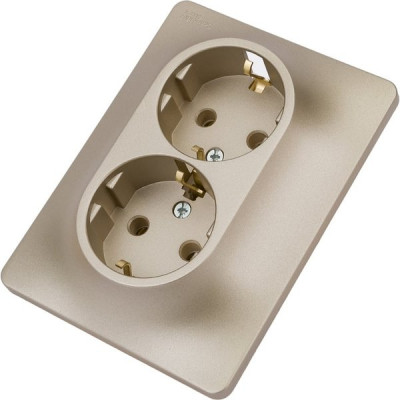 Розетка с/у 2x2P+E 16A, Schneider Electric Glossa [GSL000424] титан