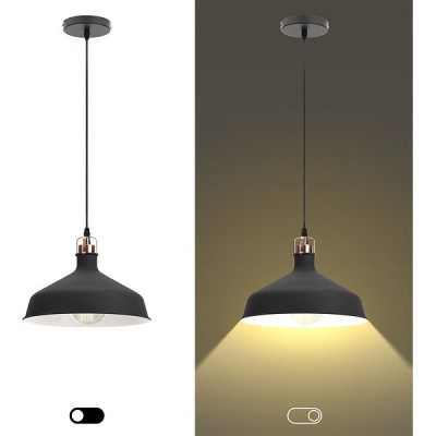 Светильник подвесной 1*E27*60W, металл, d300*1000, ЭРА LOFT [PL2 BK/RC] шагрень черный/медь 