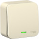 Переключатель о/у 1-кл 10А, с подсв., изол.пл., Schneider Electric Blanca [BLNVA106112] молочный