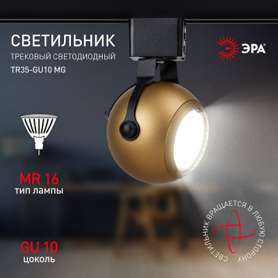 Светильник трековый 1ф под лампу MR16/GU10, сфера, ЭРА [TR35-GU10 MG] матовое золото