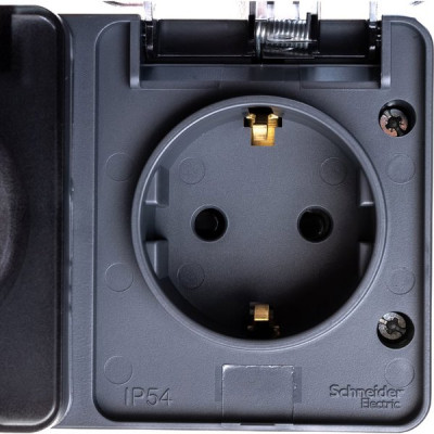Розетка с/у 2x2P+Е 16A, IP54, со шторками, Schneider Electric ATLASDESIGN PROFI [ATN544026] антрацит
