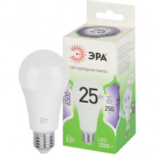 Лампа LED E27/A60 груша, 25W, 6500K, 2500Лм, ЭРА GL [LED A60-25W-865-E27 GL]